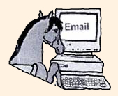 Email Us