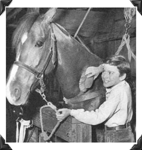 Johnny Washbrook Grooming Flicka