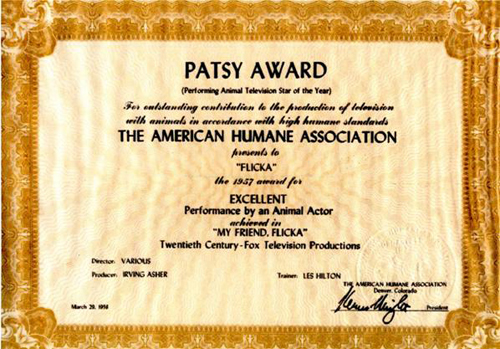The Patsy Award